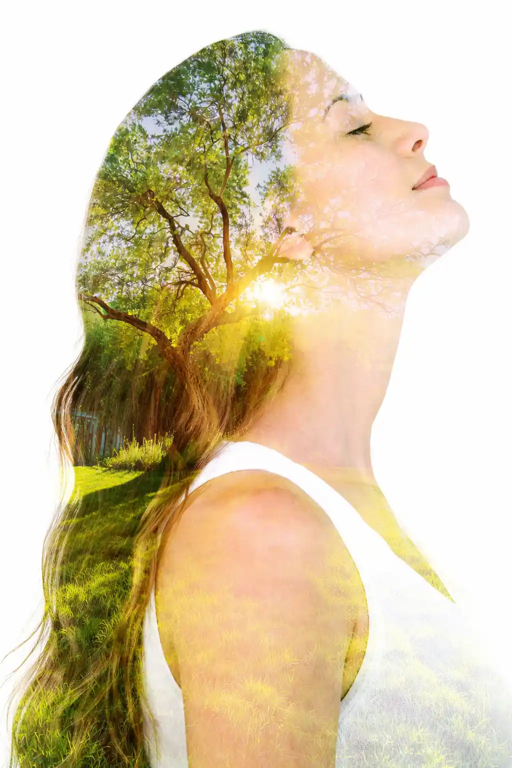 Project Banner Mobile